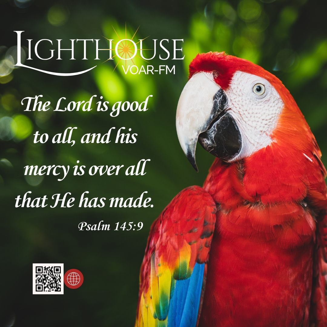 Lighthouse FM verse