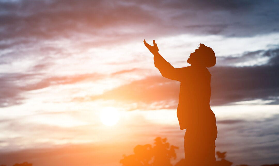 When God Brings the Growth