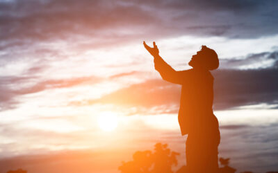 When God Brings the Growth