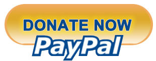 donate-now-paypal2 Donate now paypal